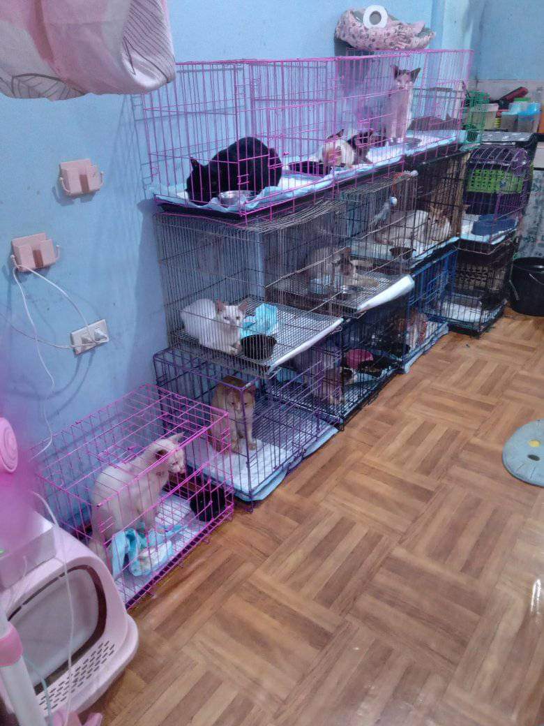 lucia (@finafle) on Twitter photo 