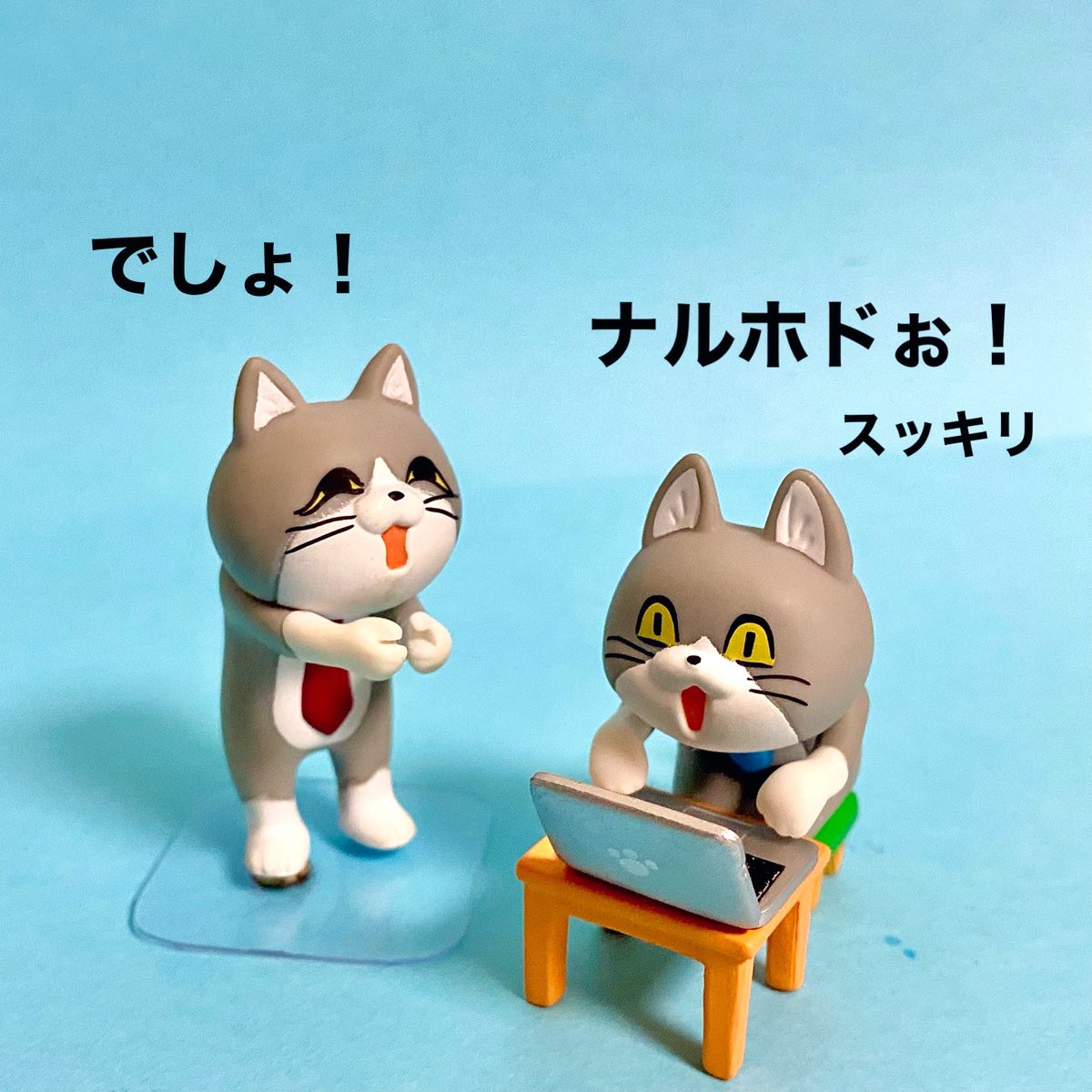 ononuouo01's tweet photo. 向き不向き

#仕事猫 #オモ写 https://t.co/G9nI7ccIvb