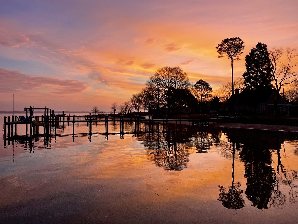 Dawn Howeth 🌤 tweet media