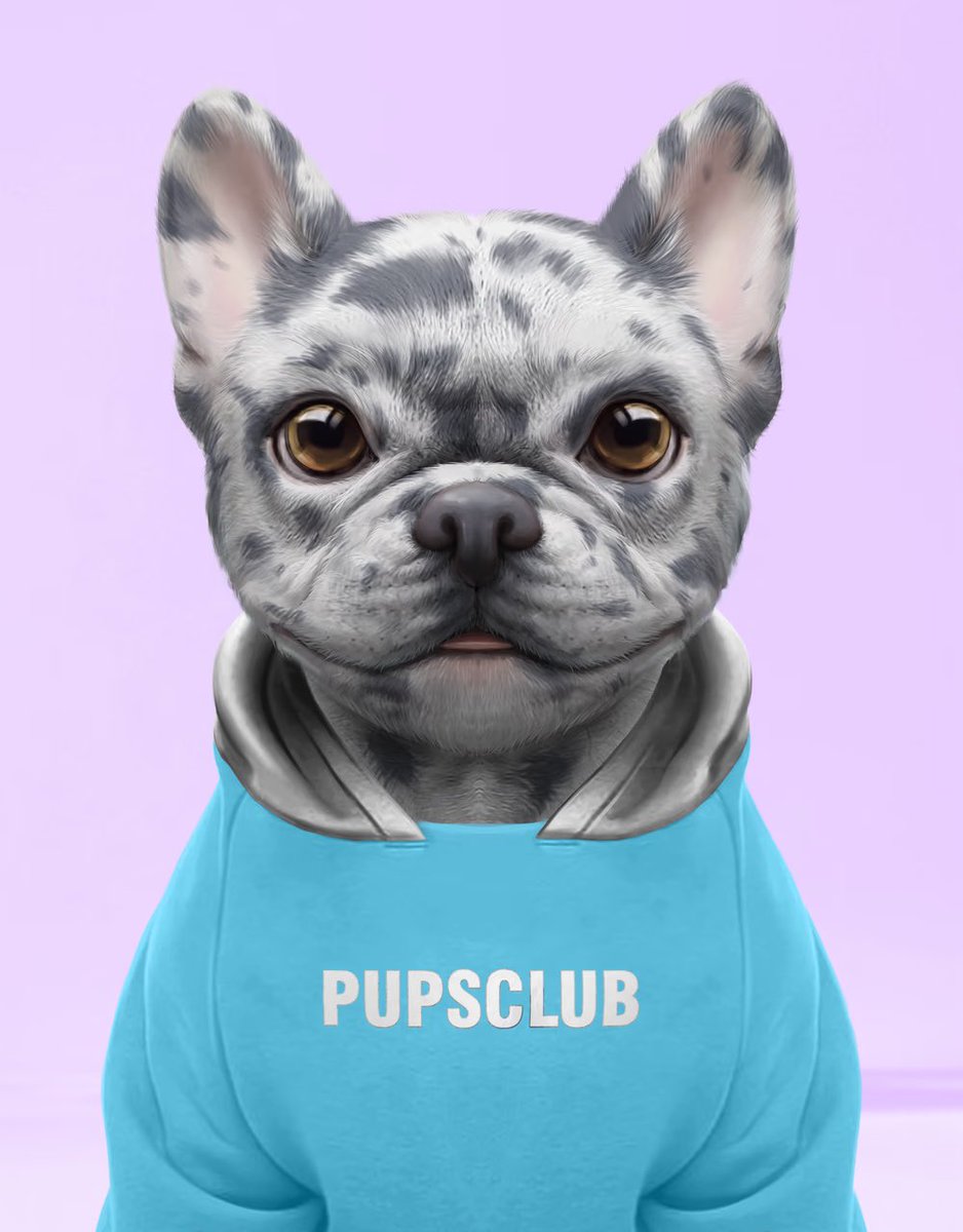 pupsclub's tweet photo. GM 👋🏻🐾🐶🐶🐶🐶 https://t.co/dqFPG33Z6P
