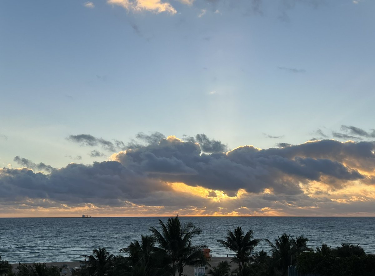 hbbookman's tweet photo. Morning in Miami. https://t.co/dgh3EP1zRh