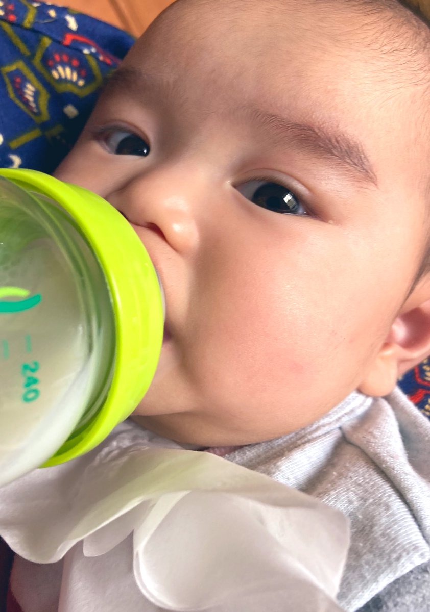 JkShinba's tweet photo. あんないつも泣かないのに
今日に限ってギャン泣き🤣
あいつ外遊び行きやがった。
とか思ってるんだろーな🙄
この野郎🤣🤣🤣 https://t.co/0Aivfb0fDO