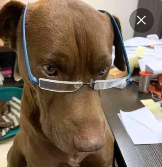 Terence F. Ngwenya tweet media