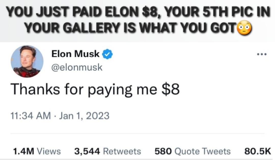 GoldenNinja50 tweet media