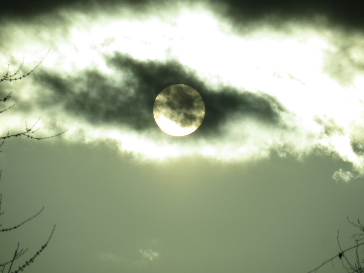 PLKlein_Author's tweet photo. "The art of being wise is the art of knowing what to overlook." ~ #WilliamJames #thinkingoutloud #quickquotes #TuesdayThoughts #Art #BeingWise #Overlook https://t.co/J5ftQ9Kqe5