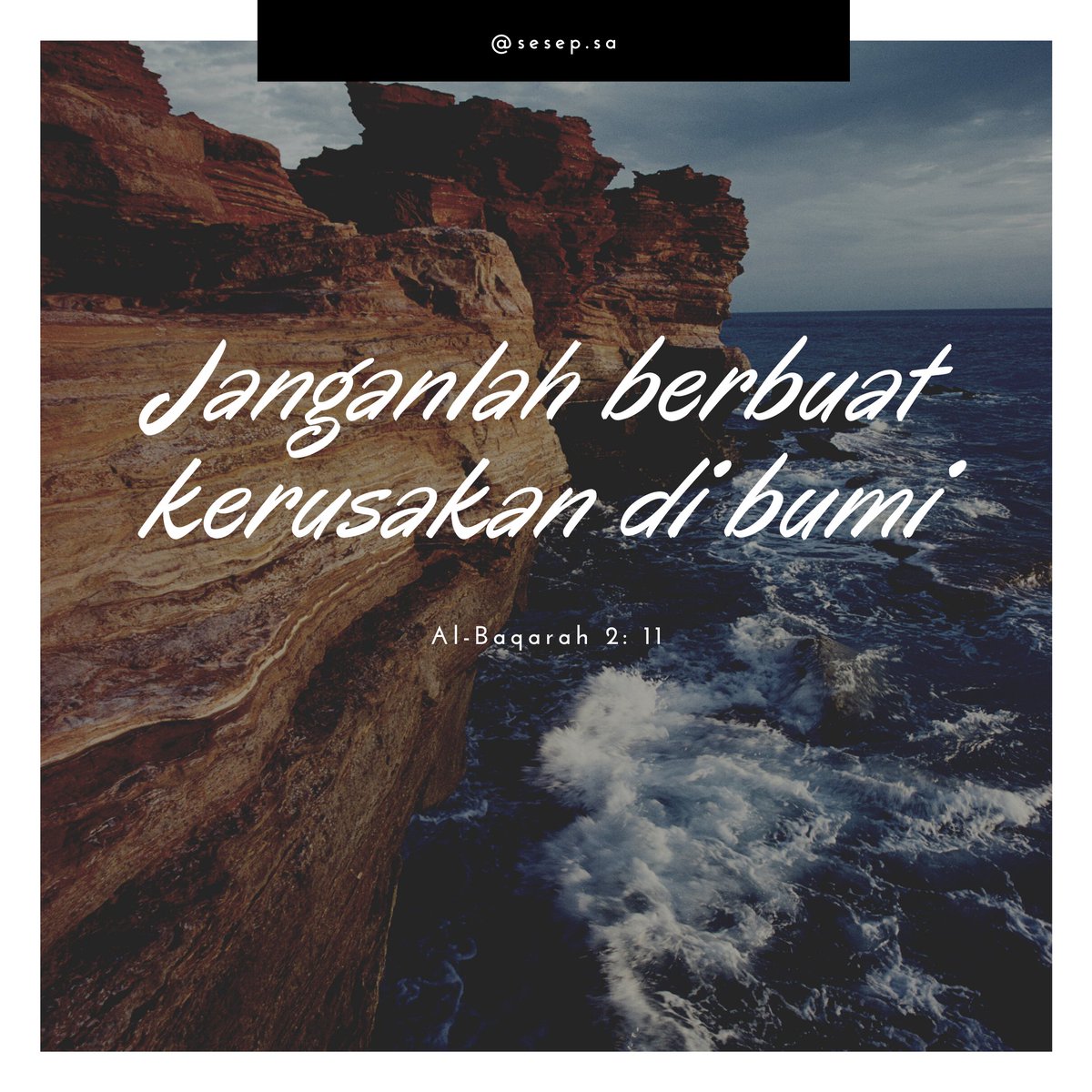 Sesep SA tweet media