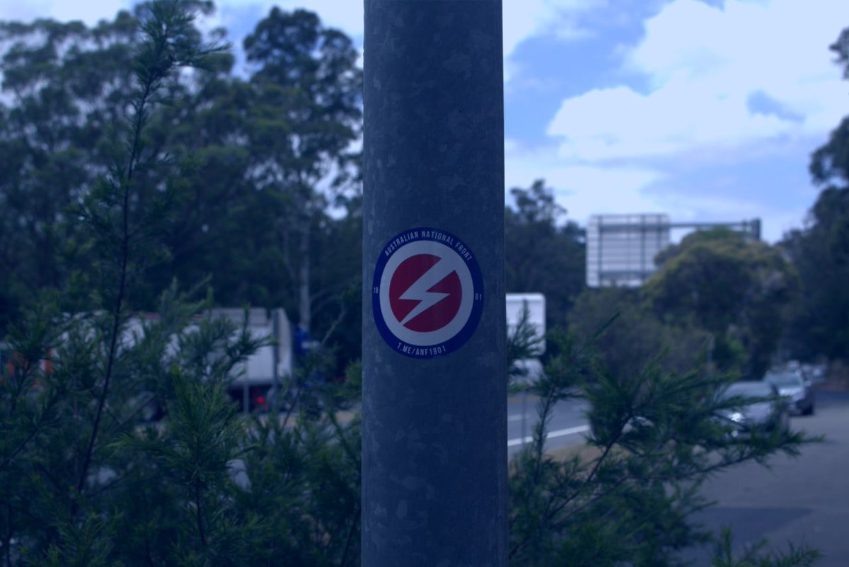 TheDailyBruh1's tweet photo. In case you’re unaware: Someone in Aus🇦🇺 has recently begun Patriot Front-style activism, probably with the intention of forming an org. 
Here’s my constructive criticism of their aesthetic, and a proposal:

🧵(1/8) #DingoTwitter #PatriotFront #auspol https://t.co/8u8EcVwhVV