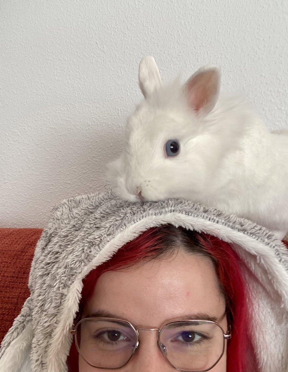 AnaTwelve's tweet photo. Cucú 🐰👯‍♀️ https://t.co/jaaDiM9go7