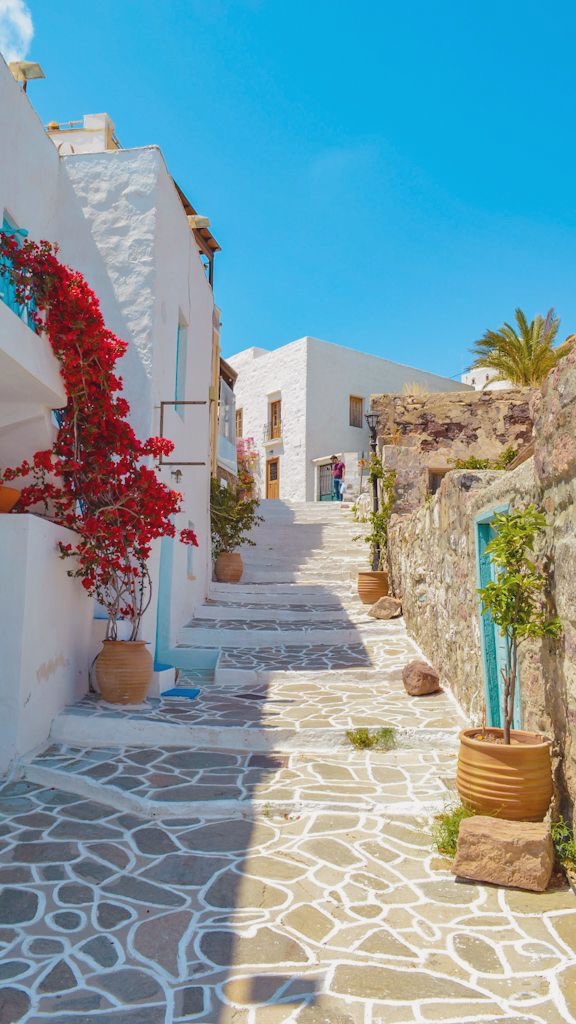 mediterraneanAE's tweet photo. https://t.co/RpACX41f1C