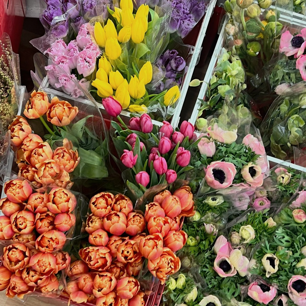 ununfah's tweet photo. 🌸🌷ไปเดินปากคลองหาดอกไม้แต่งร้าน หลังจากห่างหายไม่ได้ไปมาหลายเดือน ไปร้าน Dee Dee flower ร้านเดิมในดวงใจแต่ตอนนี้มีดอกไม้เยอะขึ้นมากๆ แน่นร้านไปเลย ถูกใจมากกกก 
Dee Dee flower 
📍https://t.co/vGHqiVJB3O https://t.co/H0FxgWTGHU