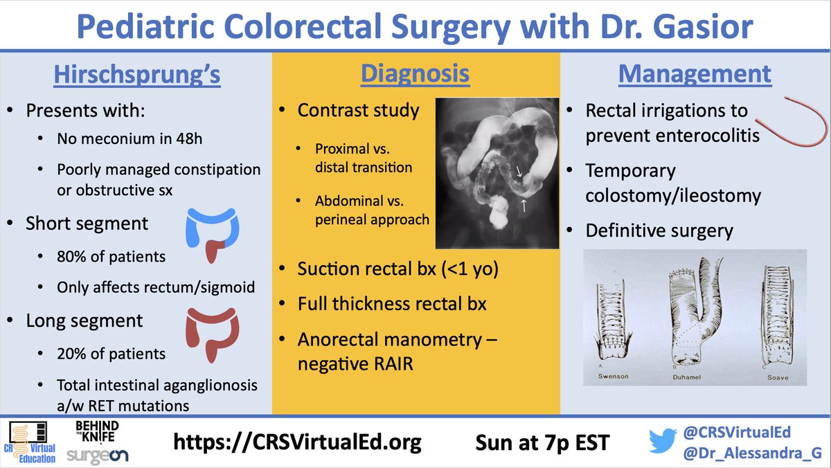CRSVirtualEd (@crsvirtualed) on Twitter photo 🔥overview of Peds Colorectal Surgery by Dr. Gasior!
🏳️🌈 Continence is a spectrum in anorectal malformation
👀 Dr. Asa Yancey 1st described "Soave" procedure
#CRSVEVisAbstract
<a href="/Dr_Alessandra_G/">Alessandra Gasior, DO,FACS</a> <a href="/drrichardwood/">Richard Wood</a> <a href="/ErinTeeple/">Erin Teeple</a> <a href="/mrollinsMD/">Michael Rollins</a> <a href="/RebeccaRenteaMD/">Rebecca Rentea, MD</a> <a href="/JasonFrischerMD/">Jason Frischer, MD</a> <a href="/PCPLC1/">PCPLC</a> 🔥overview of Peds Colorectal Surgery by Dr. Gasior!
🏳️🌈 Continence is a spectrum in anorectal malformation
👀 Dr. Asa Yancey 1st described "Soave" procedure
#CRSVEVisAbstract
<a href="/Dr_Alessandra_G/">Alessandra Gasior, DO,FACS</a> <a href="/drrichardwood/">Richard Wood</a> <a href="/ErinTeeple/">Erin Teeple</a> <a href="/mrollinsMD/">Michael Rollins</a> <a href="/RebeccaRenteaMD/">Rebecca Rentea, MD</a> <a href="/JasonFrischerMD/">Jason Frischer, MD</a> <a href="/PCPLC1/">PCPLC</a>