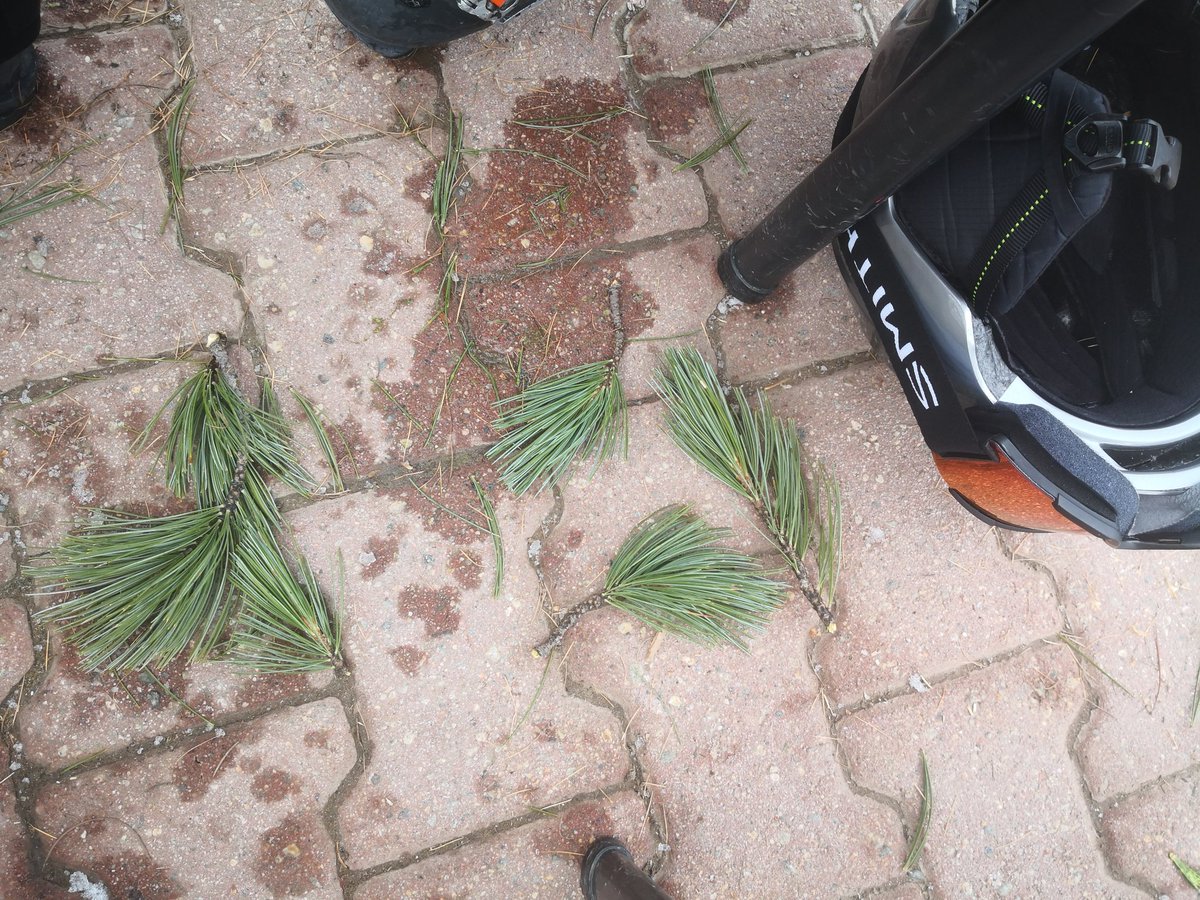 Sociaall Inc. tweet media