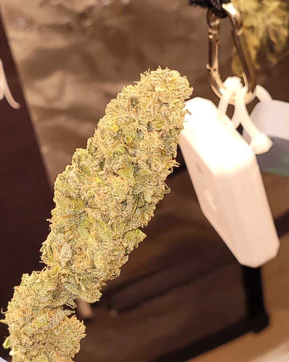 Trimprogear's tweet image. Thank you to Garden of Dreams Official for the heartfelt shoutout!
😎 👊 

"Huge shoutout to Trimpro and this Dry Pro dry trimmer machine because it saves me soooooooo much time!!!!!!!! "
Garden of Dream Official 👇 
instagram.com/p/CdMm0G1sZpO/…