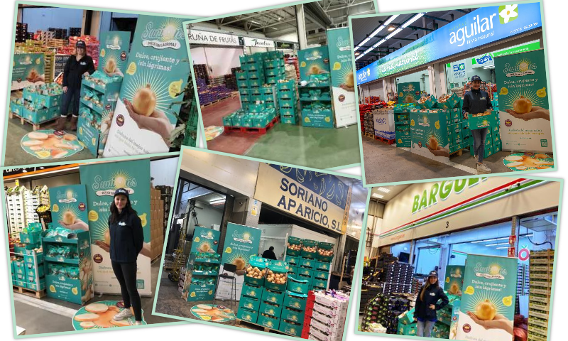 Khalatea's tweet photo. 🆙🆙El club de productores de #Sunions conquista los mercas🧅🧅😋
https://t.co/44zVy6YEl2
🧅@SunionOnion 🍬
👉La #cebolla más dulce https://t.co/hNSRi1P5cJ