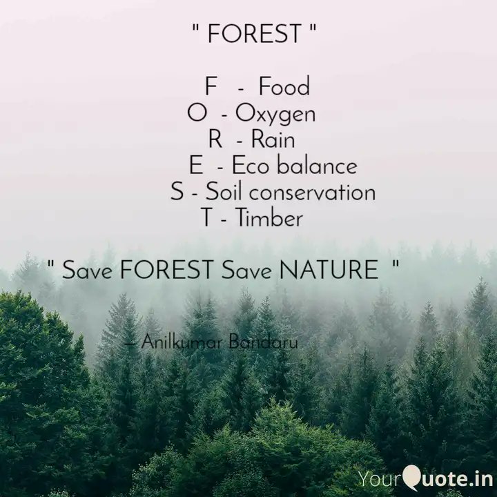 #Saveforest #Saveworld