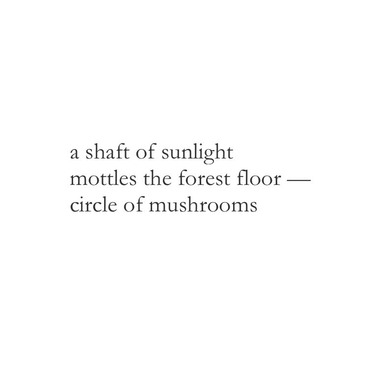 FreshoutMag's tweet photo. #haiku by new contributor Rudolph Slöh, @UnsleptPoets, of London, England. Rudolph describes himself as a, “sleepless new parent writing poetry for [his] sanity.” #poetry #poems #poetrycommunity #poetrylovers #micropoems #micropoetry https://t.co/wBJGPlBSYX