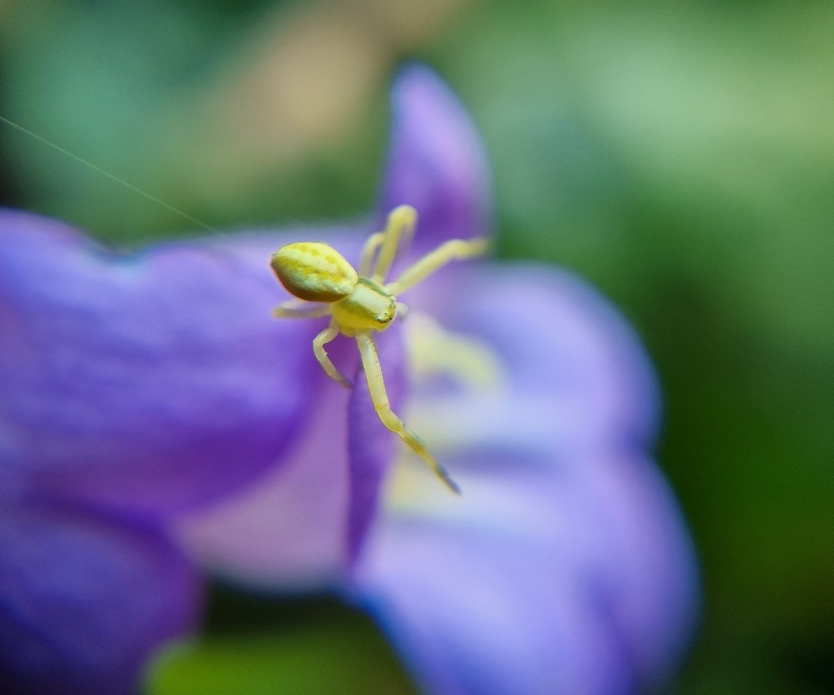 It's the New Year and we're poised to capture your views on PlantNetwork!  
It's like telling us that you hate orange-centred chocolates, but would love more nutty ones.  If we don't know, we can't get it right for you!😀 
Survey available here: bit.ly/3W3APx0