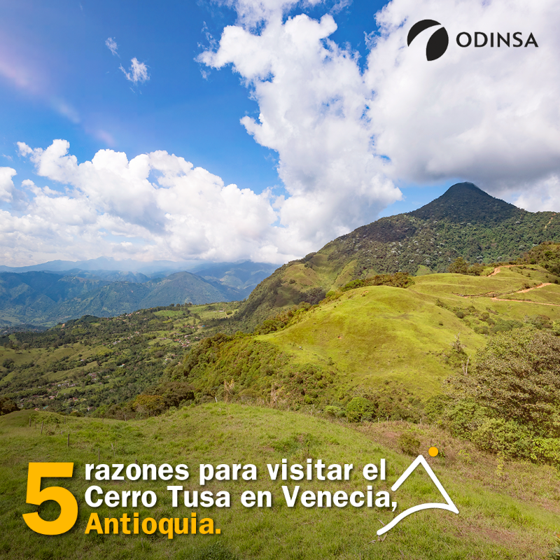 SomosOdinsa's tweet photo. En esta temporada #OdinsaTeReconecta, porque no solo hay picos para dar😘, también hay para visitar, como el #CerroTusa ⛰  en Venecia, Antioquia.

#ReconéctateConColombia y conoce las razones para no perderte este destino.

#Jericó #Tamesis #Caramanta #Pintada #Jardín #Fredonia