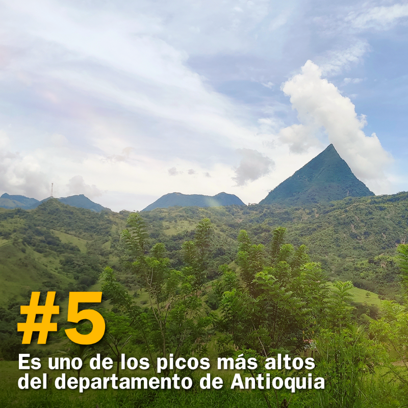 SomosOdinsa's tweet photo. En esta temporada #OdinsaTeReconecta, porque no solo hay picos para dar😘, también hay para visitar, como el #CerroTusa ⛰  en Venecia, Antioquia.

#ReconéctateConColombia y conoce las razones para no perderte este destino.

#Jericó #Tamesis #Caramanta #Pintada #Jardín #Fredonia
