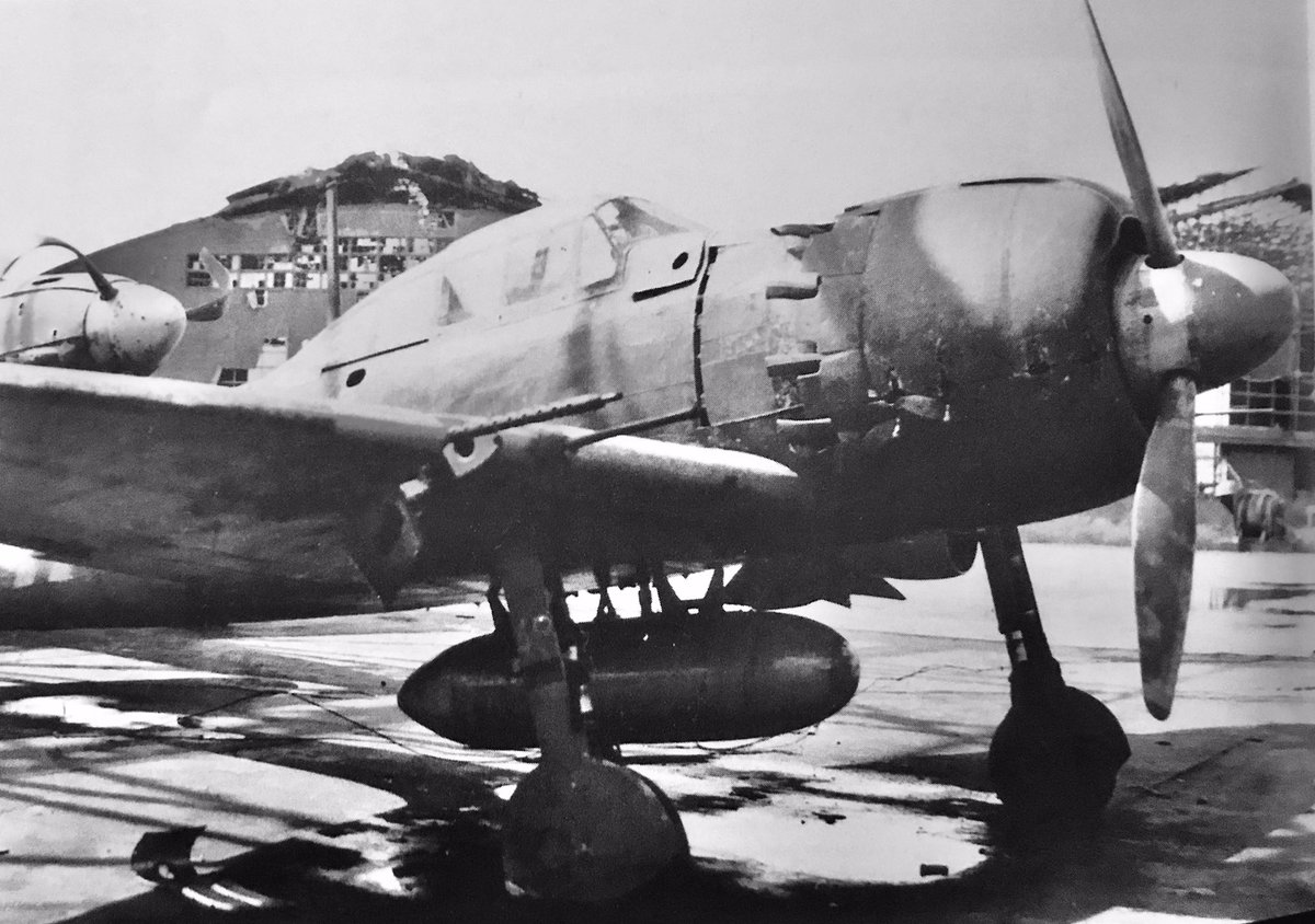 本土防空戦闘機隊 長崎県大村基地で終戦を迎えた203空の 零戦52丙型。203空はフィリピン