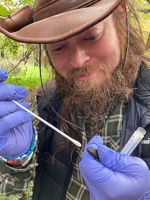 #HappyNewYear! Near the end of 2022 we had the opportunity to take part in an interesting @museumnaturalis @UniLeiden @RAVON genetic research study on introduced alpine newts in #Europe - providing DNA samples from #Scotland. Watch this space for results! #amphibians #ecology