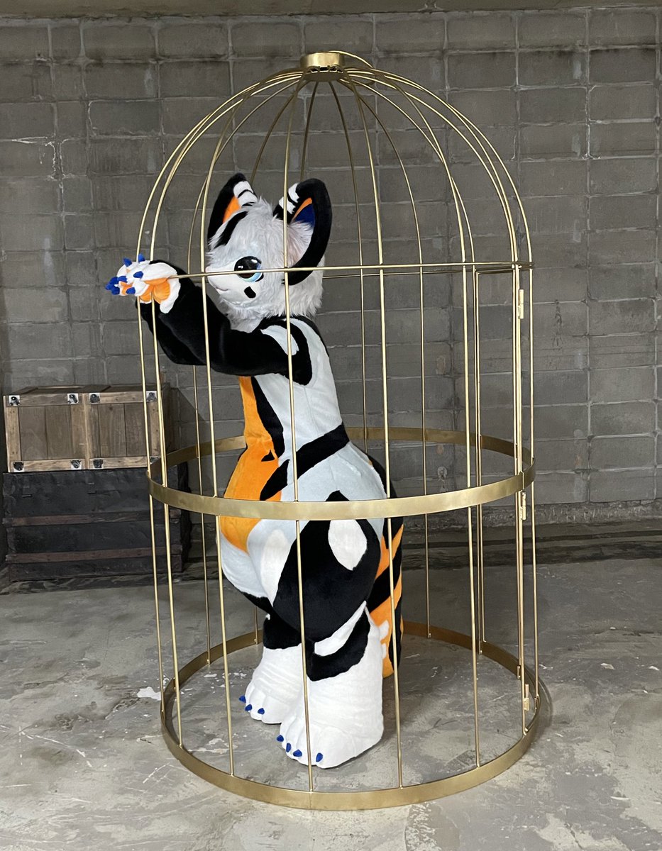 Milk_coming's tweet image. 改めましてK-LINE様(@Kemono_LINE )よりゲーミングねずみのユウセンをお迎えさせて頂きました!
いろんなイベントに連れていく予定なので見かけたら優しく接してあげてくださいね!
#kemonoline