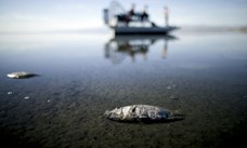 fossilfreeusa's tweet photo. The #toxicSaltonSea, site of Li exploration, has been an environmental disaster for 20 years.  Fed by agricultural runoff/waste water, the inland lake has shrunk with water conservation on farms, exposing powdery shoreline laced with arsenic/ selenium/DDT.  #toxicdust https://t.co/JJfbkDHnYN