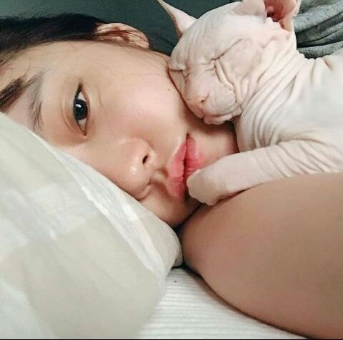 [Goo Hara ig deleted post  ]

Picture qith Goblin, Goblin is Sulli\s cat Happy birthday Hara    