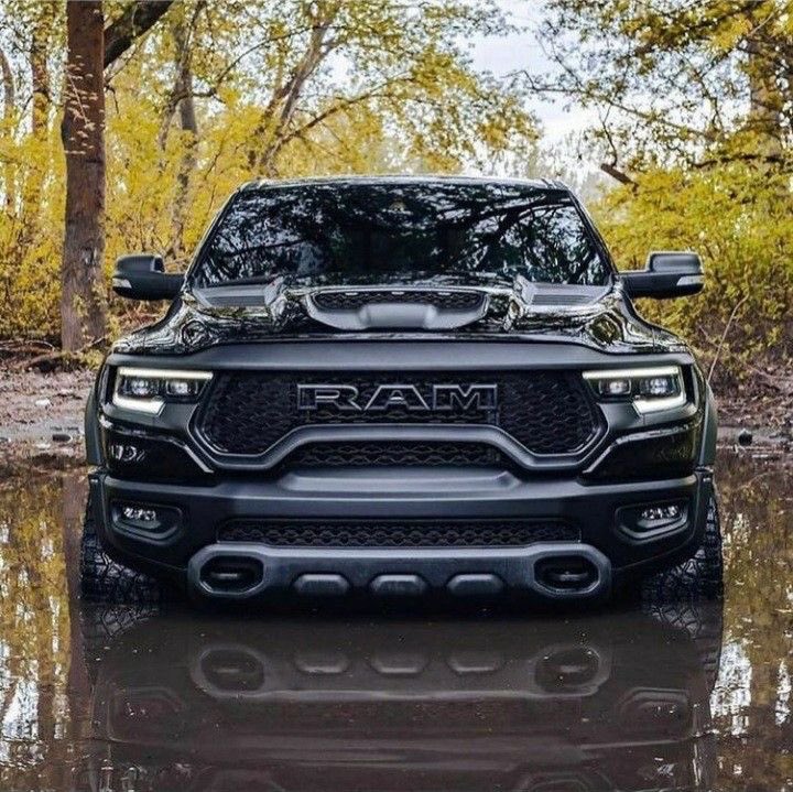 Gimme