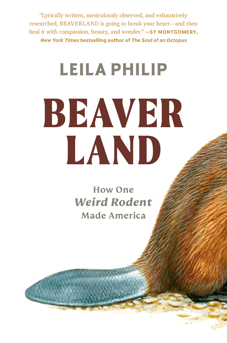 GingerbyJustin's tweet photo. "Beavers never walk backwards."

Lots to learn today as @theleilaphilip and me talk about her new book Beaverland. It's about many things, but especially the ways the beaver shaped the Hudson Valley and North America.

Listen today at 10am ET on @WGXC https://t.co/nfH84NhBrx