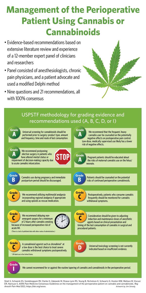NarouzeMD's tweet image. 🆕ASRA Pain Medicine guidelines for perioperative management of patients using #cannabis 

@ShaliniShahMD @ESchwenkMD @rakesh6282 @garyschwartzmd 

@ASRA_Society @ASALifeline @APSForg
@painmednews

rapm.bmj.com/content/early/…