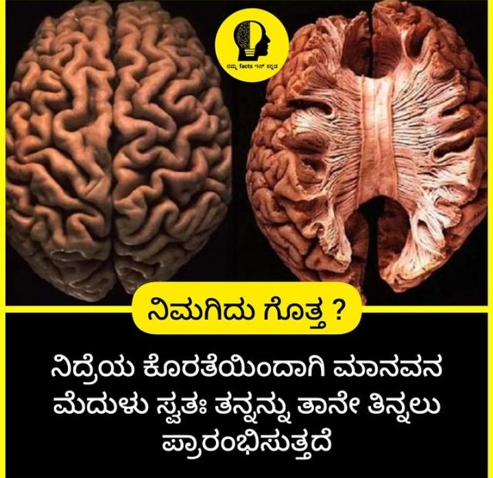 #Kannada #lifelessons #Trending #viral #kannadaquotes #HealthWorkerHeroes #healthandsafety