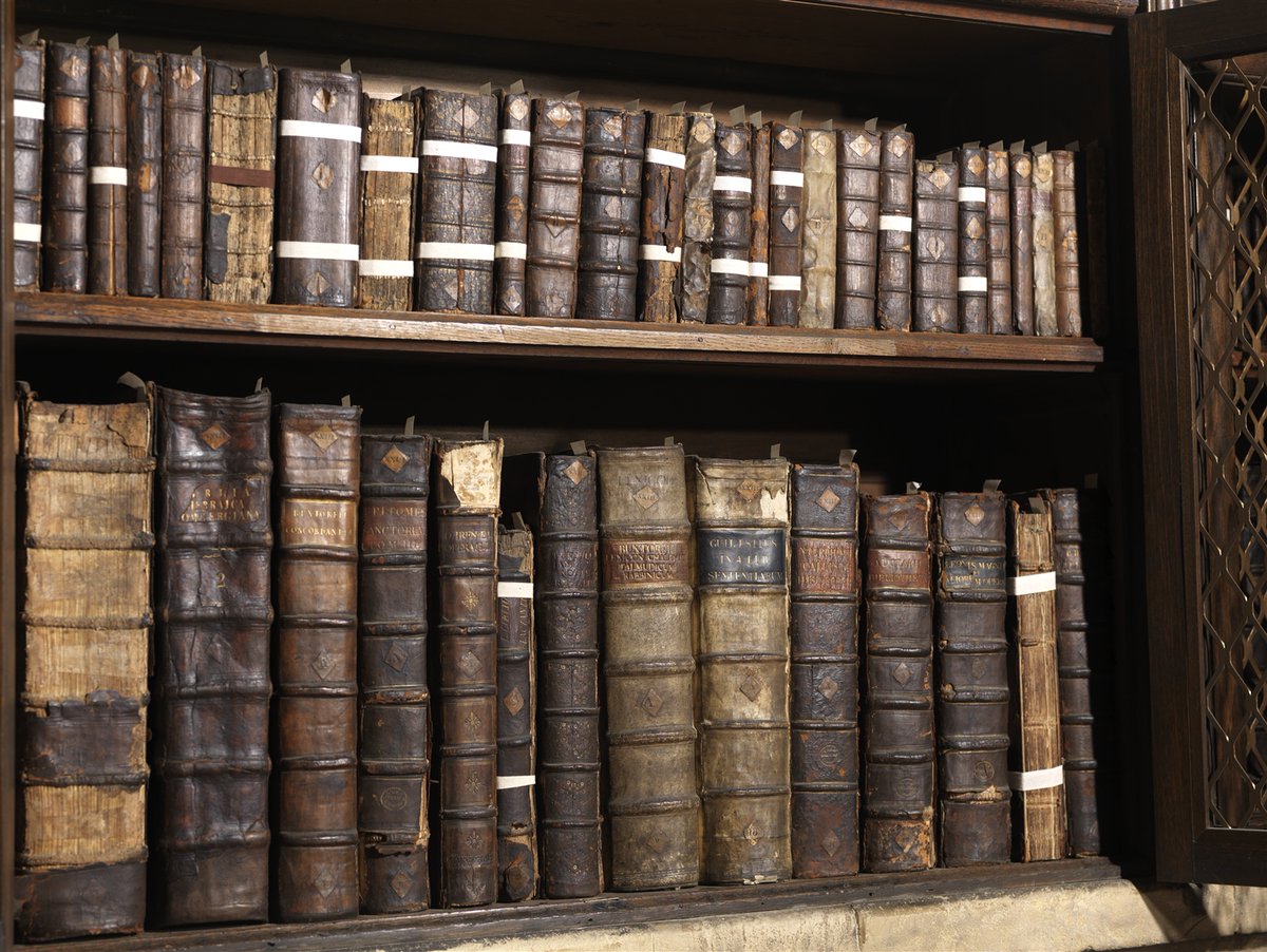 York Minster Learning & Collections tweet media