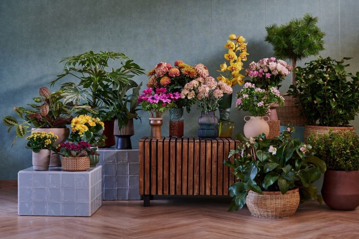 Trade Fairs by Royal FloraHolland tweet media