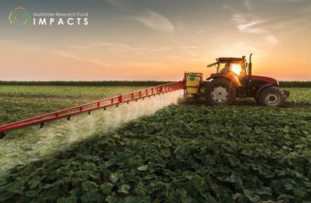 USDA_NIFA's tweet image. At the start of a new year, many Americans make resolutions to focus on healthy habits. See how NIFA-supported Hatch Multistate projects impact the health &amp;amp; nutrition of individuals &amp;amp; communities: mrfimpacts.org/impact-stateme…

#NIFAimpacts @MRFImpacts