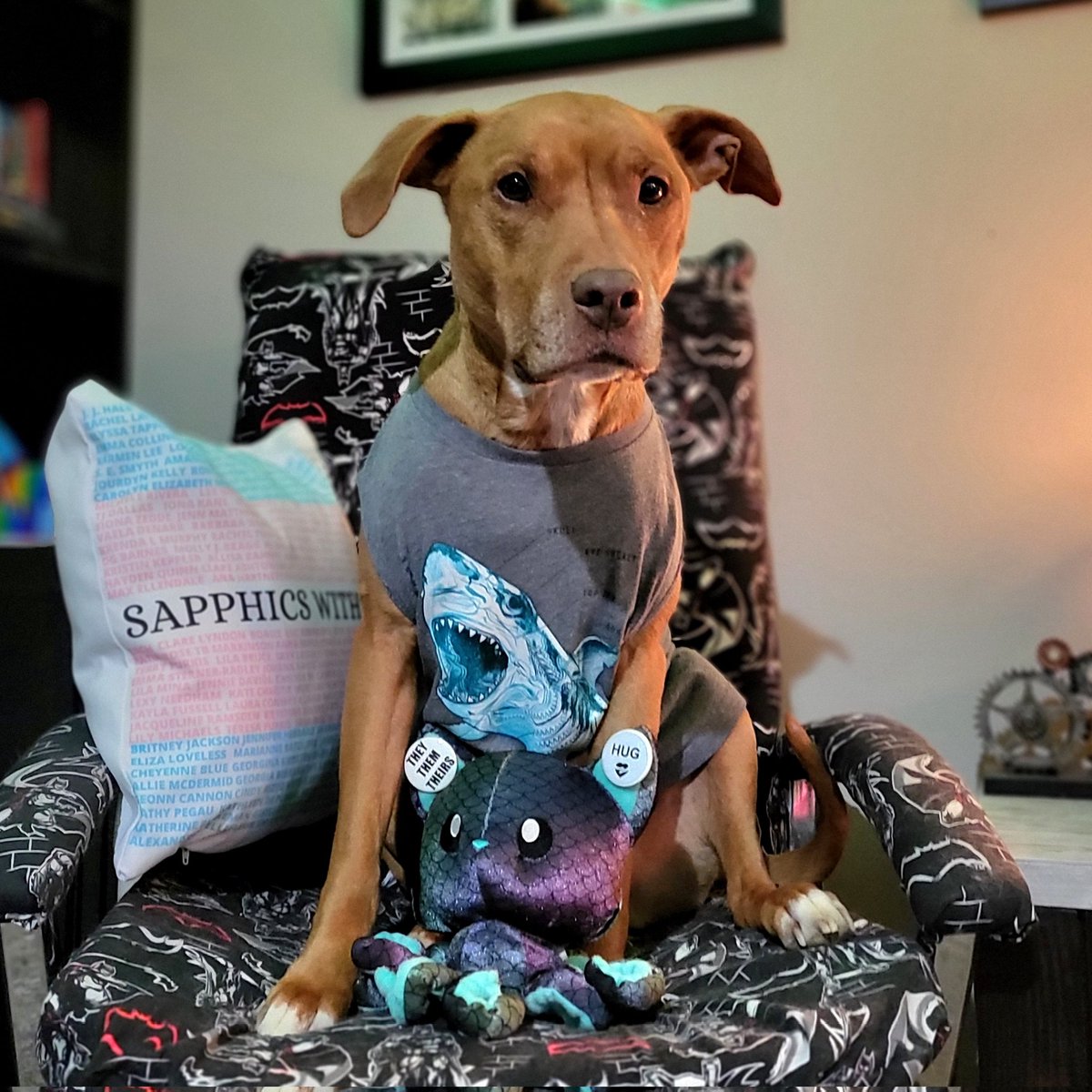 katenauthor's tweet photo. #DoggleADay is back in the office with her coworker, Ceto! She's a real shark with spreadsheets.
#JillyBean #Ceto #TentacleCat https://t.co/Y6ypi4bRgD