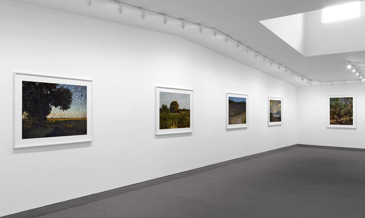 Abelardo Morell tweet media