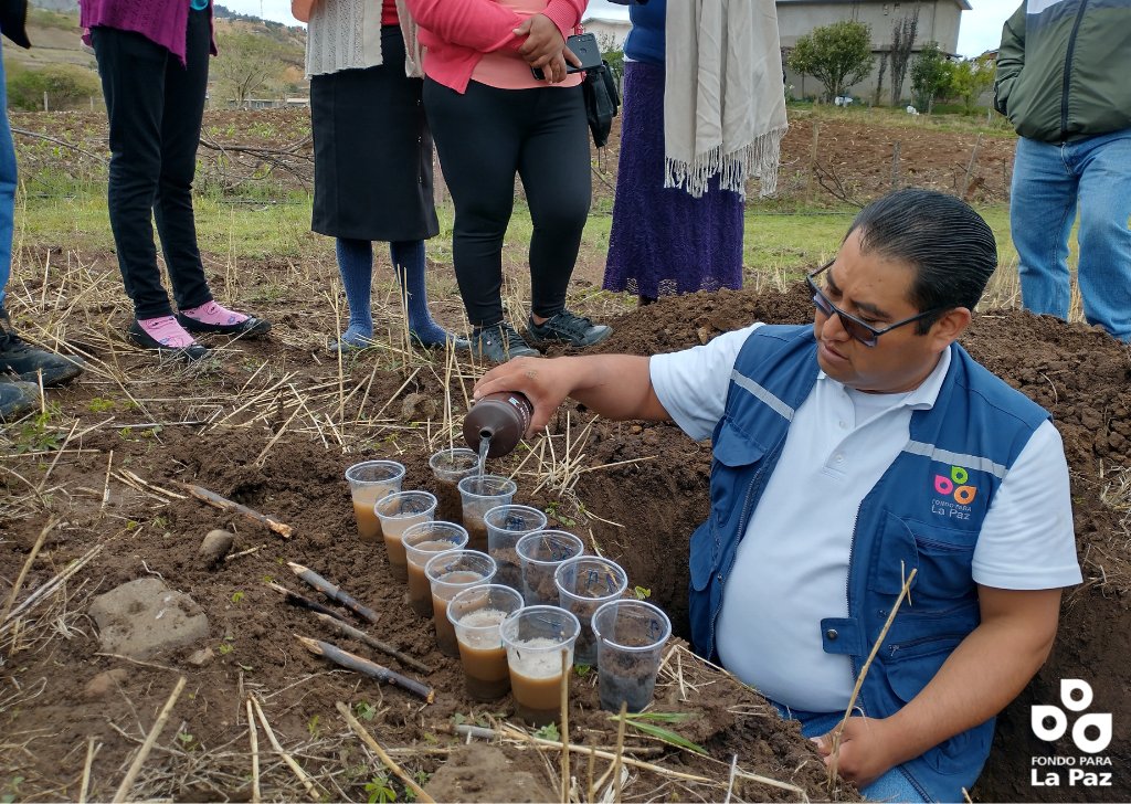 fondoparalapaz's tweet image. Se realizó un proyecto en la Mixteca alta de Oaxaca para conocer la dureza del suelo, su color, presencia de raíces, textura, disponibilidad de materia orgánica, pedregosidad, pH del suelo y necesidades de fertilización.

#ACCIMMYT #HubPSur #WalmartFoundation #agriculturaporlapaz