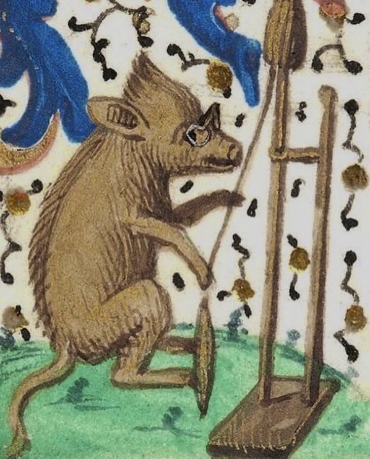 WeirdMedieval's tweet photo. pig spinning and wearing glasses......i love her a lot https://t.co/dyj5jCWYA6
