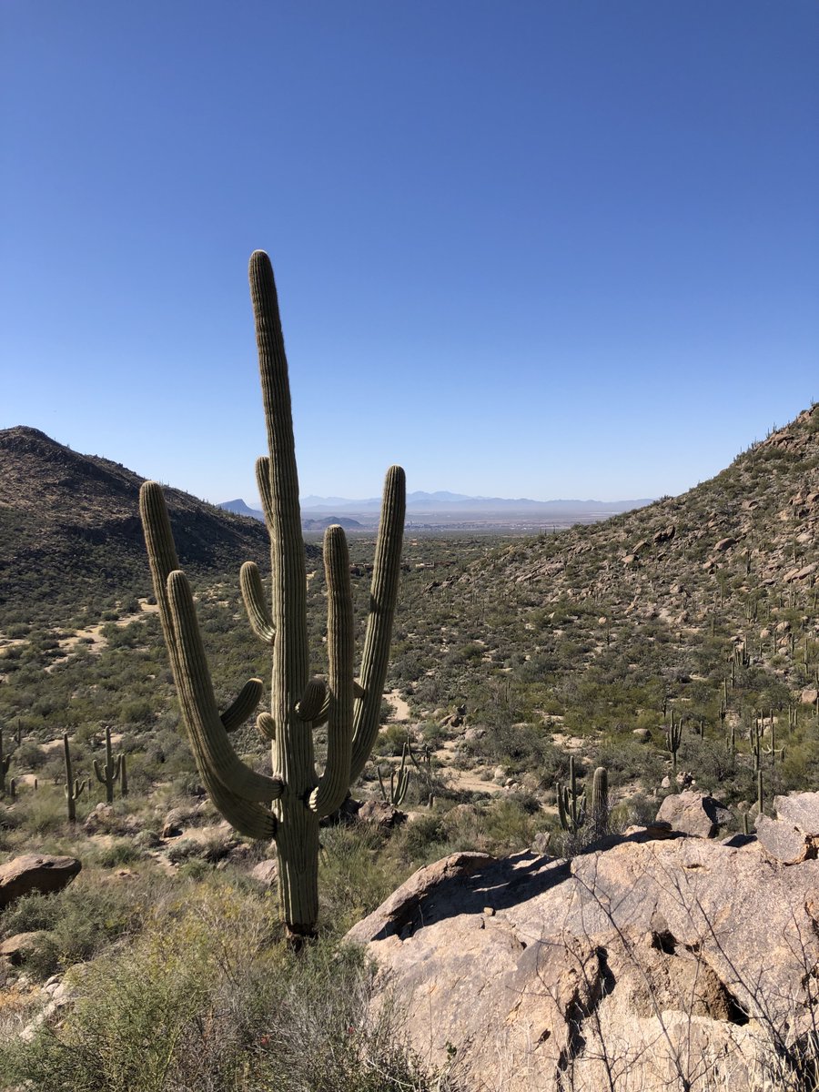 Arizona never ceases to amaze!

#TortolitaMountains #MaranaAZ #HikeAZ #saguaro