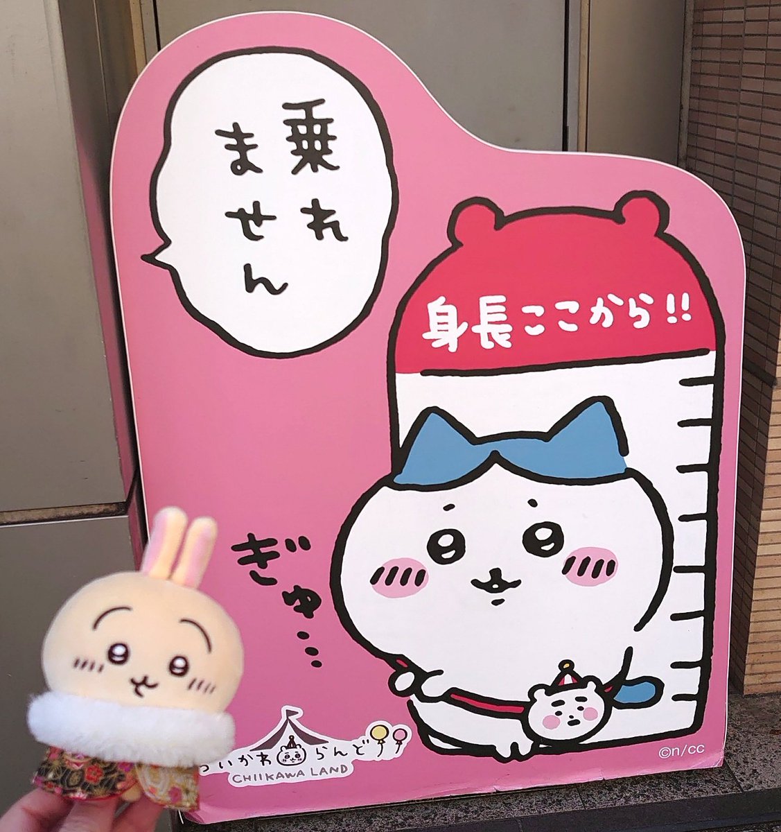 ちいかわらんど原宿にハッピーバッグを迎えに行って、その流れでフォロワッさんと正月デートをしてきたよ٩( ᐛ )و
プルャまみれ!!ぃぇぁ!!

缶バッジは箱買いでコンプだった、やったーヾ(*°ω°*)ノシ
#ちいかわ #ちい活 #プルャ #うさぎ #いろはん家 