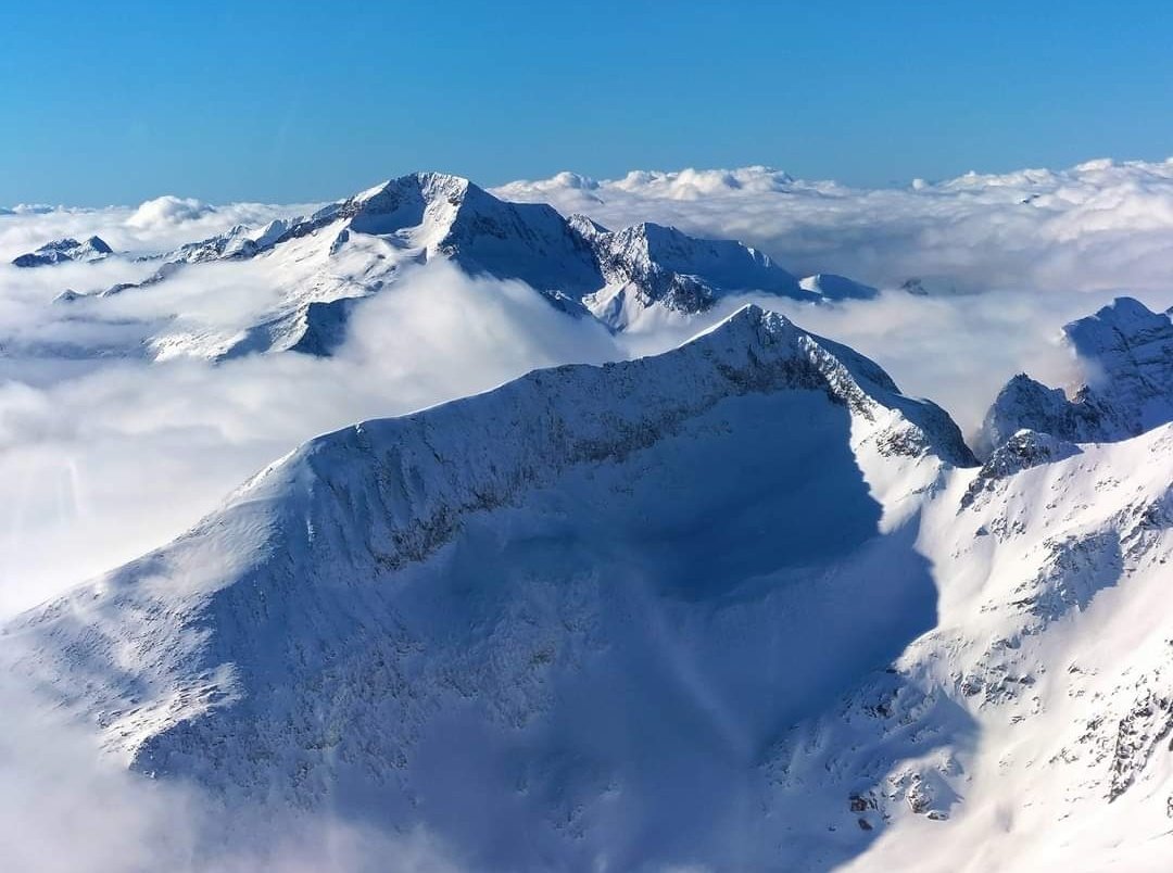 Dani Mora tweet media