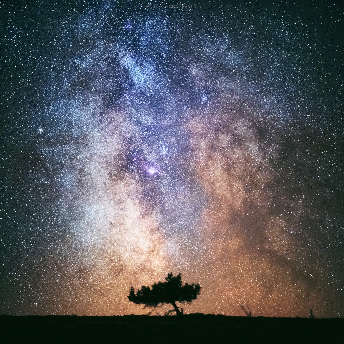 矽塑人生 tweet media