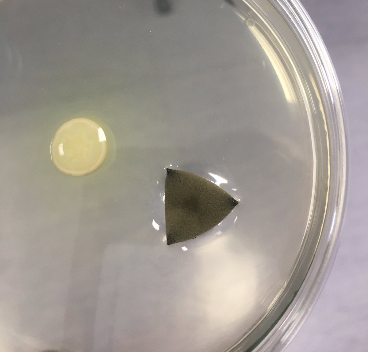 walking mirage on Twitter "RT Jameshearsawho Came back into work this morning to find this