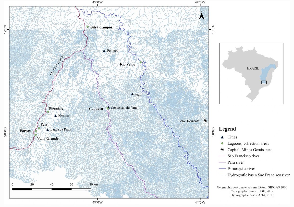SpringerMicBio's tweet photo. New in Parasitology Research: Metazoan endoparasites of Hoplias malabaricus (Bloch, 1794) (Actinopterygii: Erythrinidae) from upper and middle São Francisco river basin, Minas Gerais State, Brazil
Read now at: https://t.co/6puixjTTku
#Anisakidae #Calyptosporidae #Digenea https://t.co/jqRf6FVBFZ