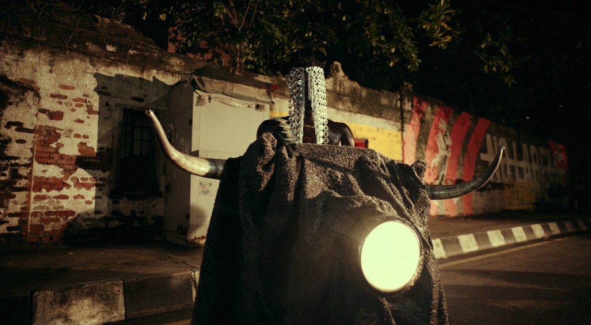 priorgoldpictures tweet media