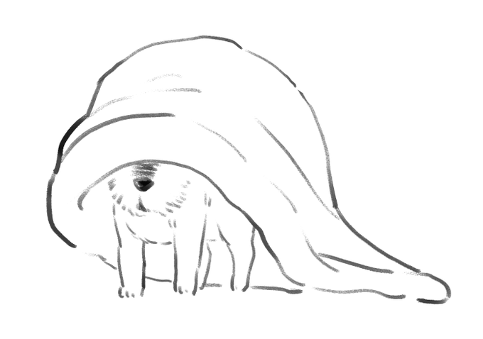 リクエストのなのちゃんです(実の姉のいぬ) 