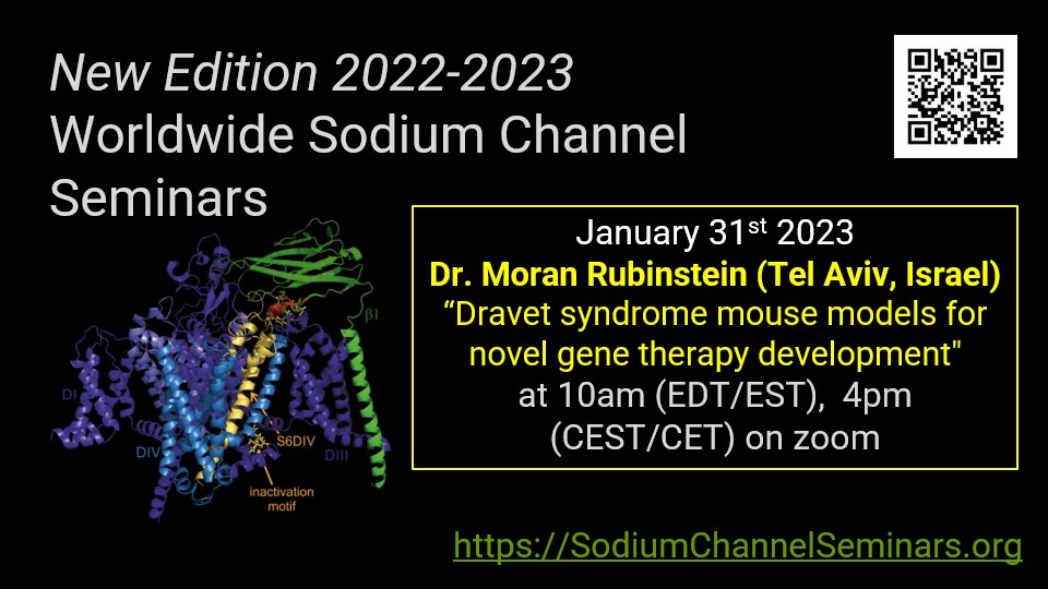 Happy New Year! We will continue with our WWNav Seminar Series, and start 2023 with a talk on epilepsy and Sodium channels by Dr. Rubinstein on Jan 31st. Visit sodiumchannelseminars.org for info and zoom link. @SwissIonChannel @IamshanovaO #WWNav #ionchannels See you there!