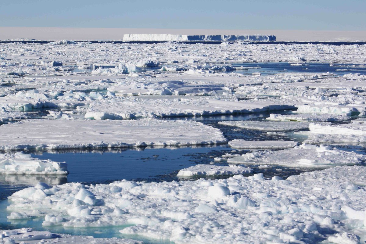 Jennifer Jackson (@polarbiome) on Twitter photo ❄️It's that time of year again!❄️ The Antarctic Science International Bursary is open for applications!
£6000 bursaries available to ECRs anywhere in the world for #Antarctic science projects that extend the scope of current work 1/2
Deadline 17 March 👇👇antarcticsciencebursary.org.uk/apply-for-an-a… ❄️It's that time of year again!❄️ The Antarctic Science International Bursary is open for applications!
£6000 bursaries available to ECRs anywhere in the world for #Antarctic science projects that extend the scope of current work 1/2
Deadline 17 March 👇👇antarcticsciencebursary.org.uk/apply-for-an-a…