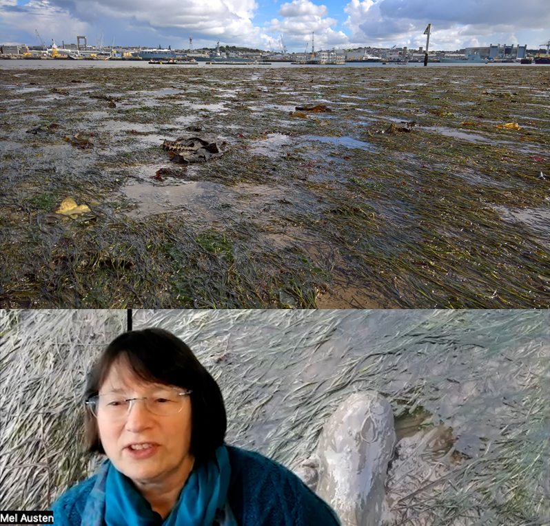 Melanie Austen (@mel_austen) on Twitter photo 🌠 #PhDPosition Apply now! or by 17 Jan 23: Wholescape systems thinking across the land-sea interface, upstream #WaterQuality for downstream #CoastalHabitat restoration, #naturebasedsolutions & #EcosystemServices. Learn more at youtube.com/watch?v=KpTJMs…
<a href="/PlymUni/">University of Plymouth</a> <a href="/CDT_SuMMeR/">CDT SuMMeR</a> 🌠 #PhDPosition Apply now! or by 17 Jan 23: Wholescape systems thinking across the land-sea interface, upstream #WaterQuality for downstream #CoastalHabitat restoration, #naturebasedsolutions & #EcosystemServices. Learn more at youtube.com/watch?v=KpTJMs…
<a href="/PlymUni/">University of Plymouth</a> <a href="/CDT_SuMMeR/">CDT SuMMeR</a>